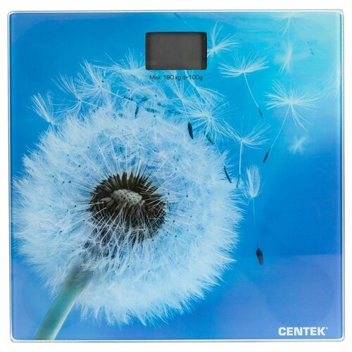 Весы электронные CENTEK CT-2421 Spring Flower, голубой