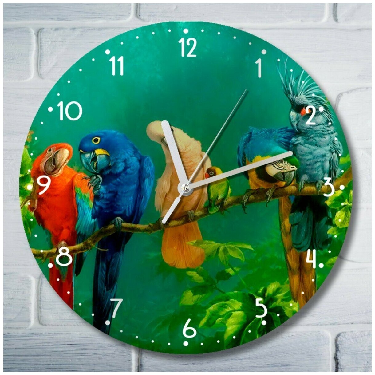 Настенные часы УФ с рисунком животные птицы попугай - 3056
