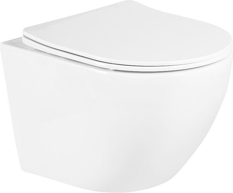фото Унитаз подвесной RIMLESS безободковый с сиденьем микролифт дюропласт