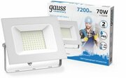 Прожектор Gauss Elementary 70W 4370m IP65 6500К белый 1/10