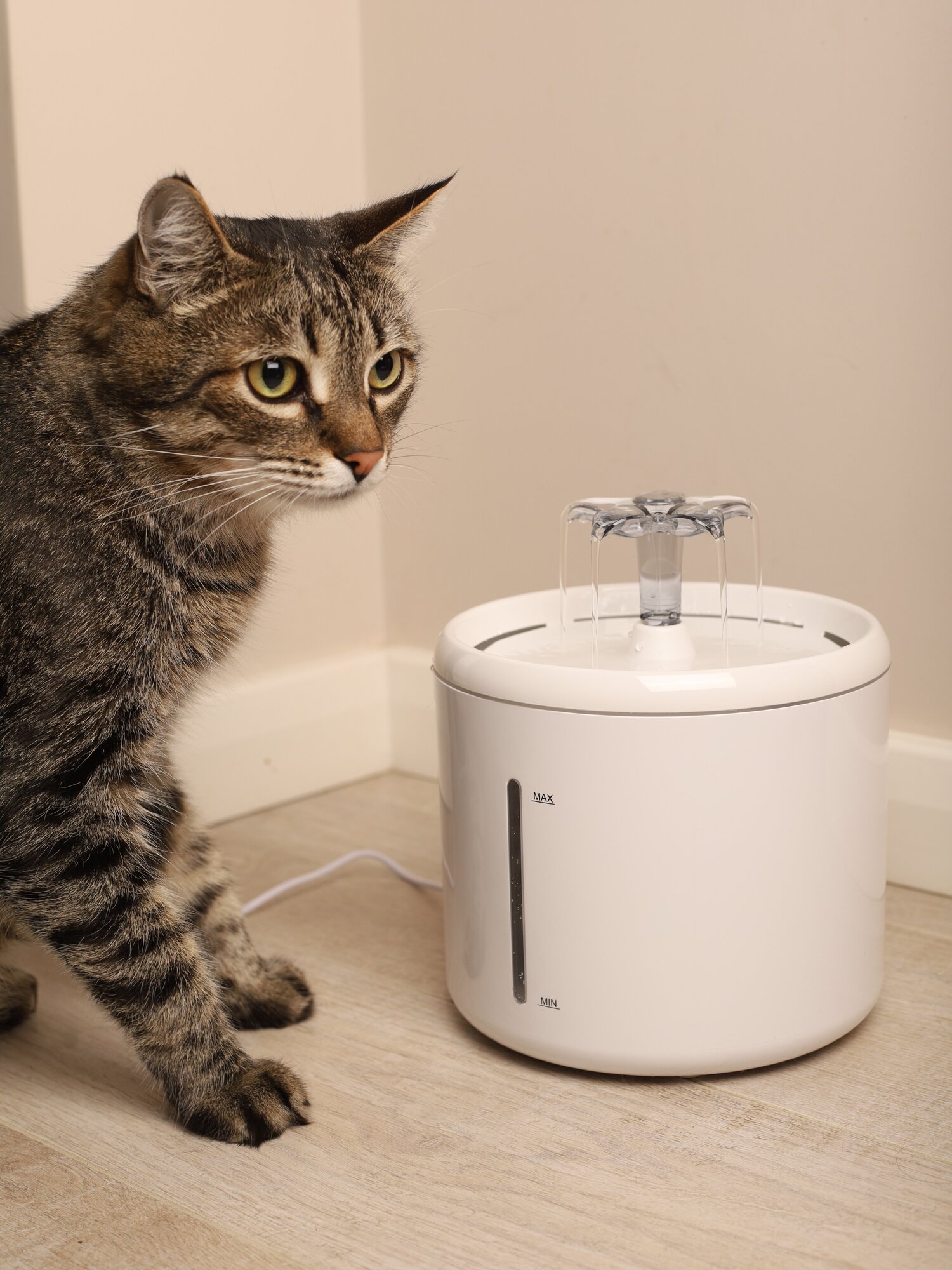 Автоматическая поилка для животных питьевой фонтан для кошек - фотография № 9