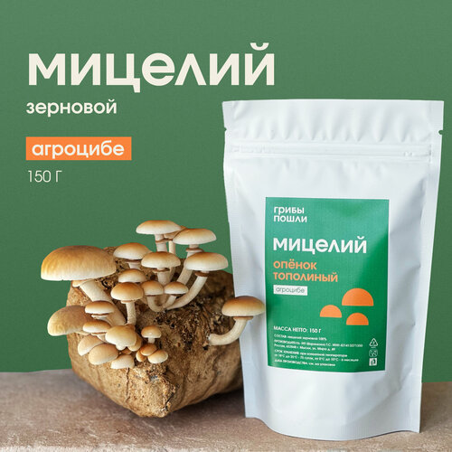 Мицелий грибов опенка тополиного Грибница для выращивания 499₽