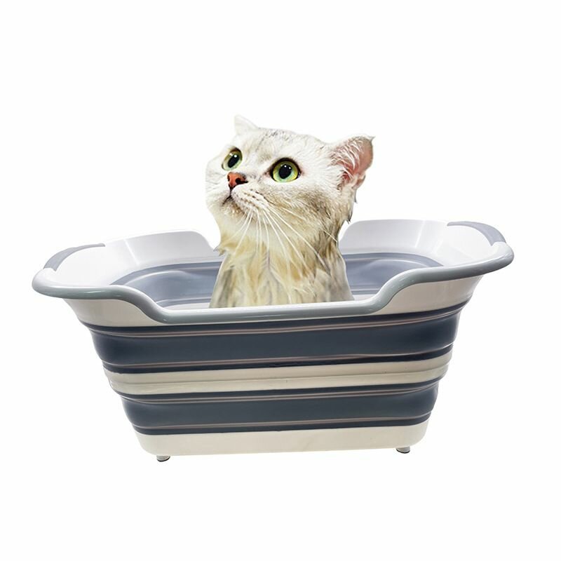 Пискамен жыныстық қатынас