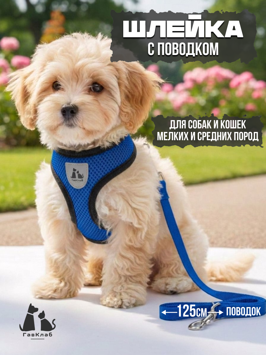 Шлейка для собак