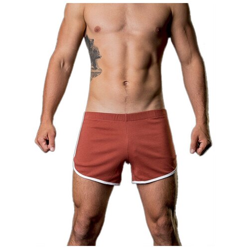 фото Шорты barcode berlin, размер s, коричневый