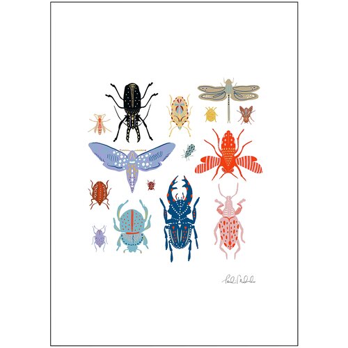 BILD бильд постер 50x70 см Яркие жуки
