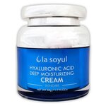 La soyul Hyaluronic Acid Deep Moisturizing Cream Крем для лица с гиалуроновой кислотой для глубокого увлажнения - изображение