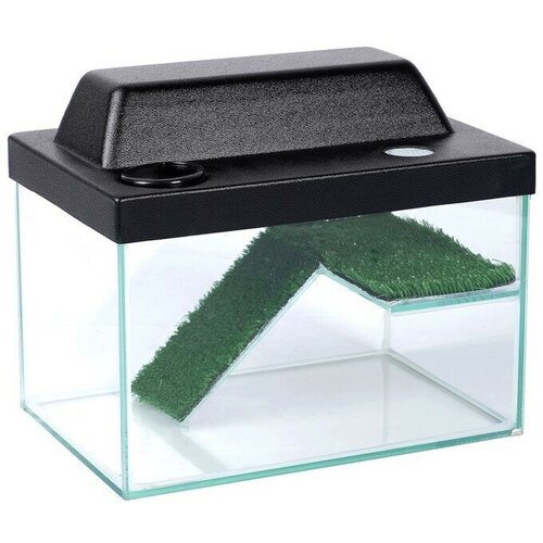 Террариум для черепах 12л с крышкой полкой и лесенкой 30 х 20 х 20 см 443700₽