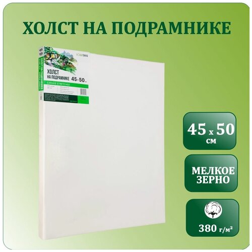 Холст для рисования грунтованный на подрамнике, 45х50 см, Хоббитания, 100 % хлопок 380 гр/м2, холст для акрила, масла и гуаши