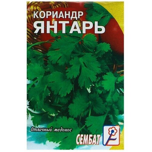 Семена Кориандр Янтарь, 5 г 22 упаковки семена кориандр geolia янтарь