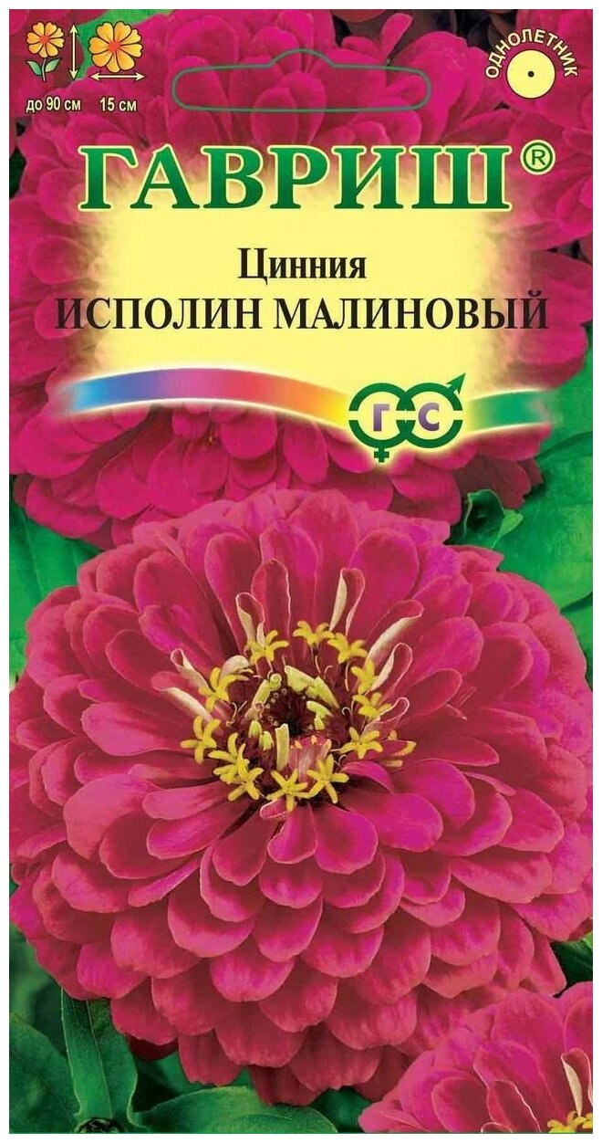 Цинния Исполин Малиновый