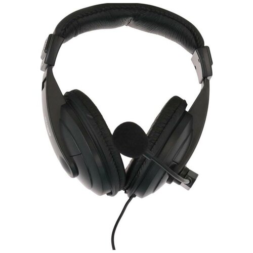 Наушники Ritmix RH-524M 171000₽