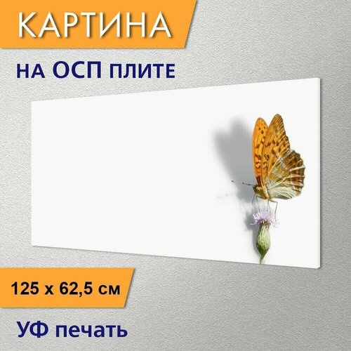 Горизонтальная картина 