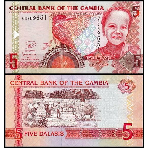 Гамбия 5 даласи 2013 (UNC Pick 25b)