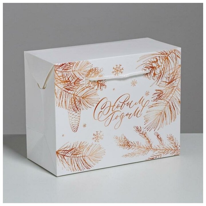 Пакет-коробка «С Новым годом», 23 × 18 × 11 см