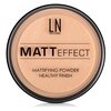 LN-professional Компактная матирующая пудра Matt Effect - изображение