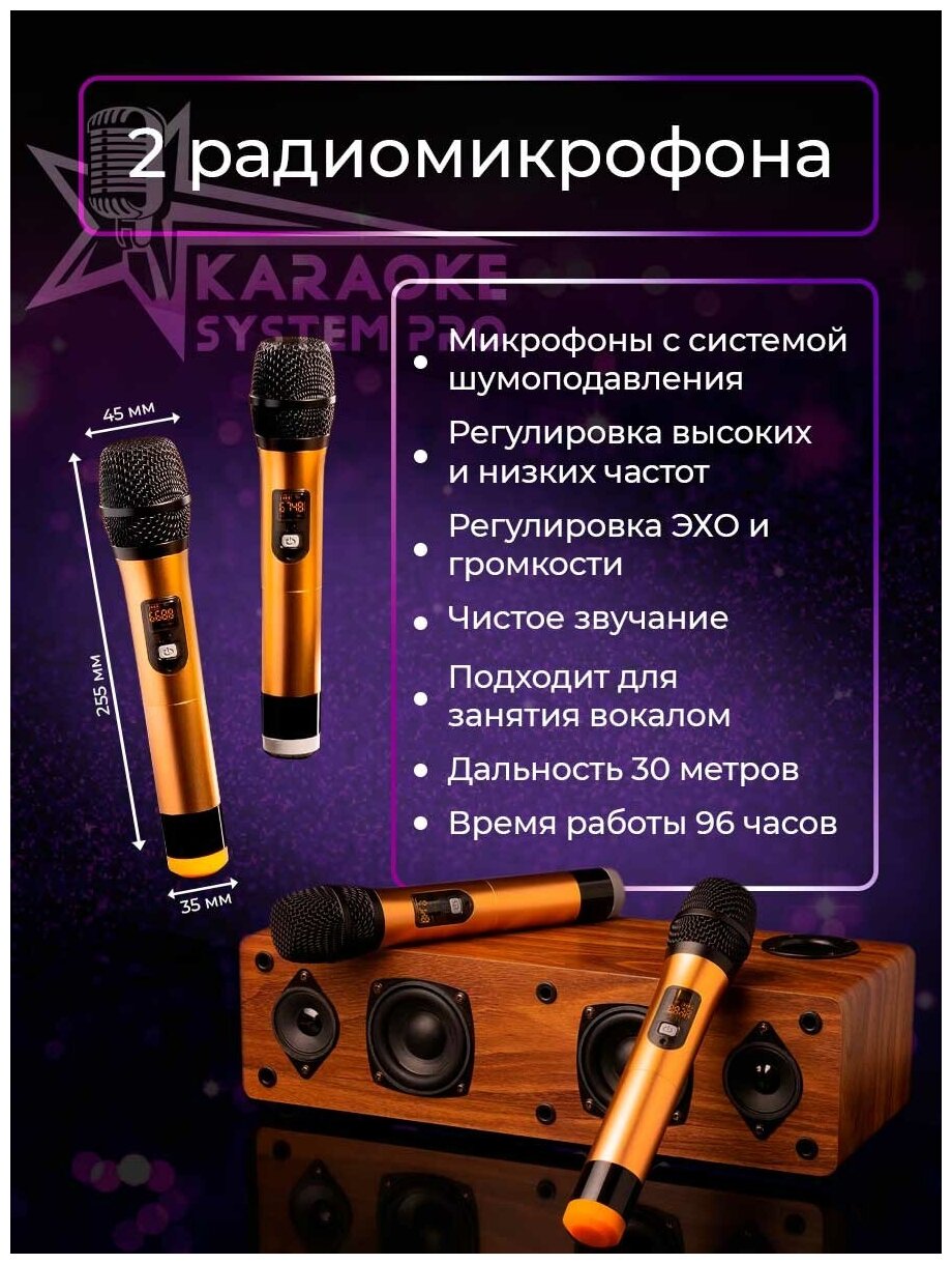 Домашняя караоке-система с беспроводными микрофонами Kaoraoke System Pro