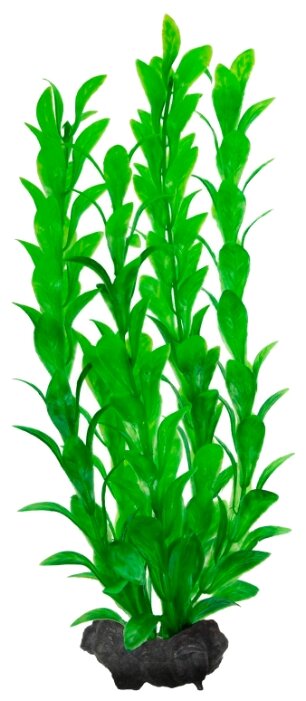 Искусственное растение Tetra Hygrophila M