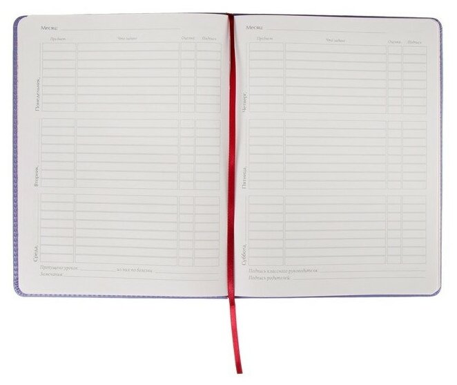 Дневник универсальный для 1-11 классов, 48 листов SIDNEY NEBRASKA, твердая обложка, искусственная кожа, термотиснение, ляссе, блок 70 г/м2, сиреневый