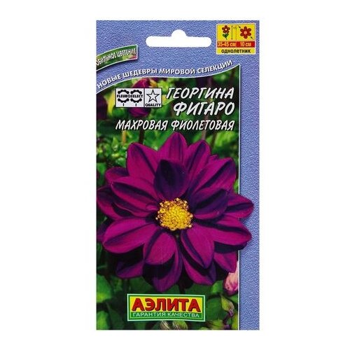 Георгина махровая фиолетовая «Фигаро» спайка 10 пачек семена цветы георгина фигаро фиолетовая