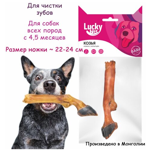 Лакомство для собак козья ножка с копытцем, Lucky bits, 100 г