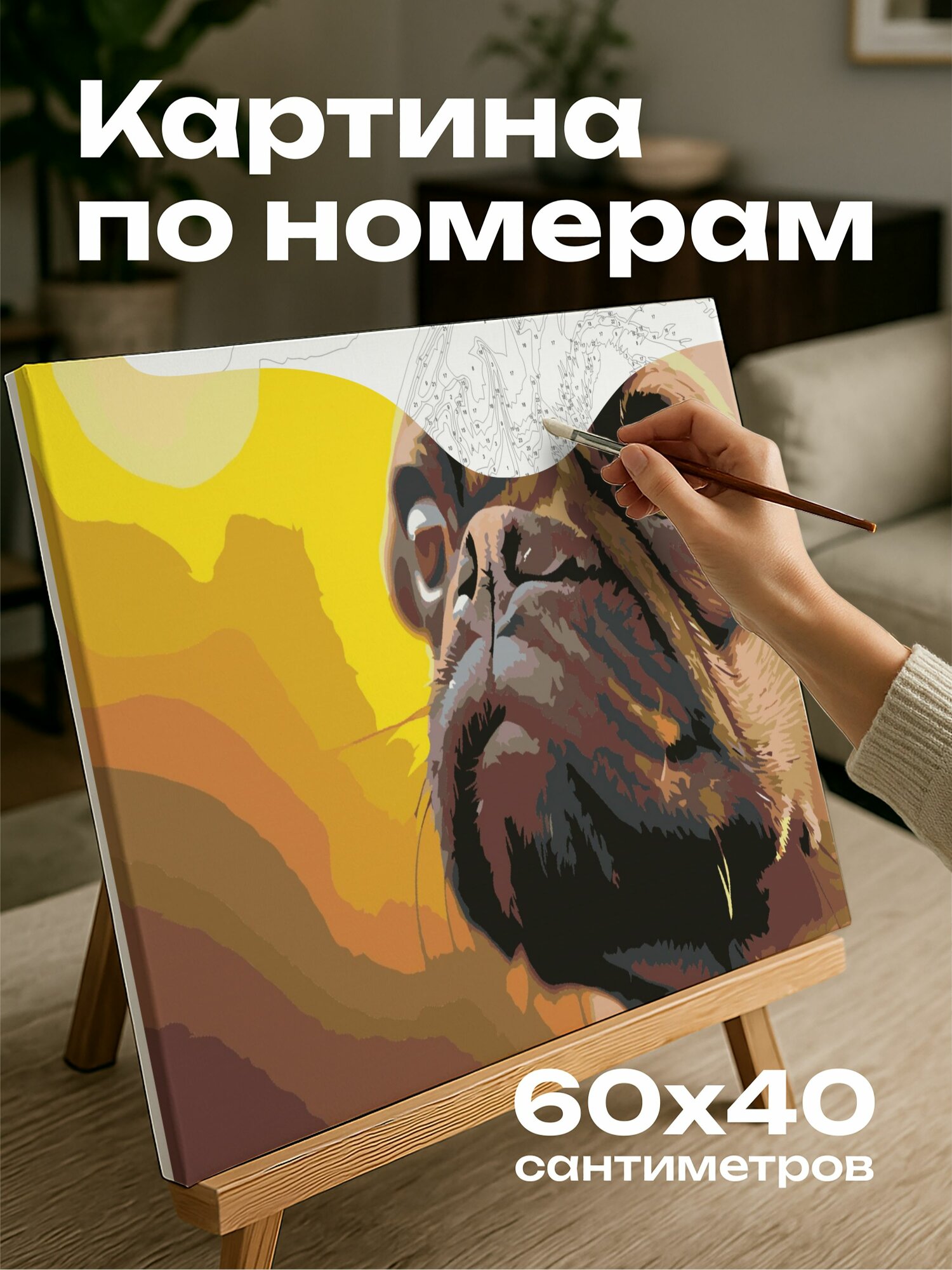 Картина по номерам 60x40 см, мопс, мордочка, крупный план, морщинки, черты лица, детали, глаза, морда, фон
