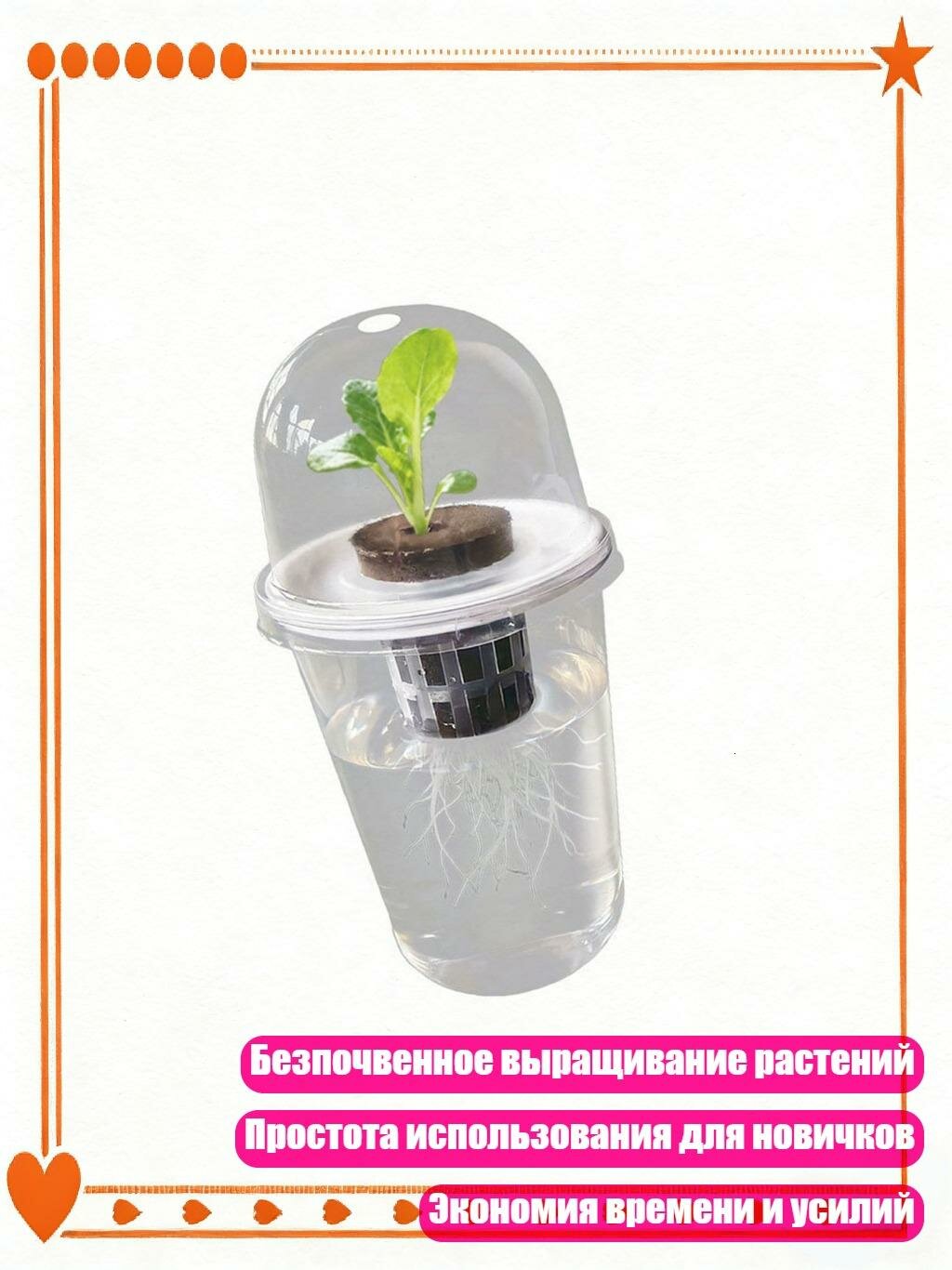 Прозрачная ёмкость для проращивания растений, 1 комплект