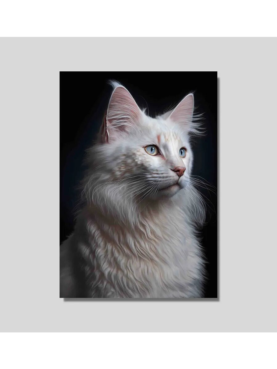 Астронавт, турецкая ангорская кошка 2, Плакат 30x42см