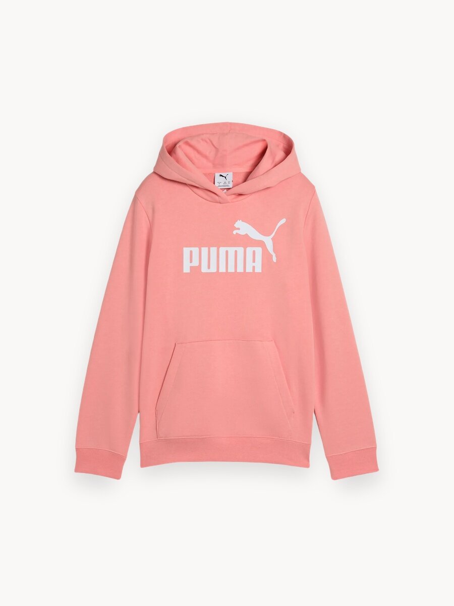 Худи ESS No. 1 Logo Hoodie
