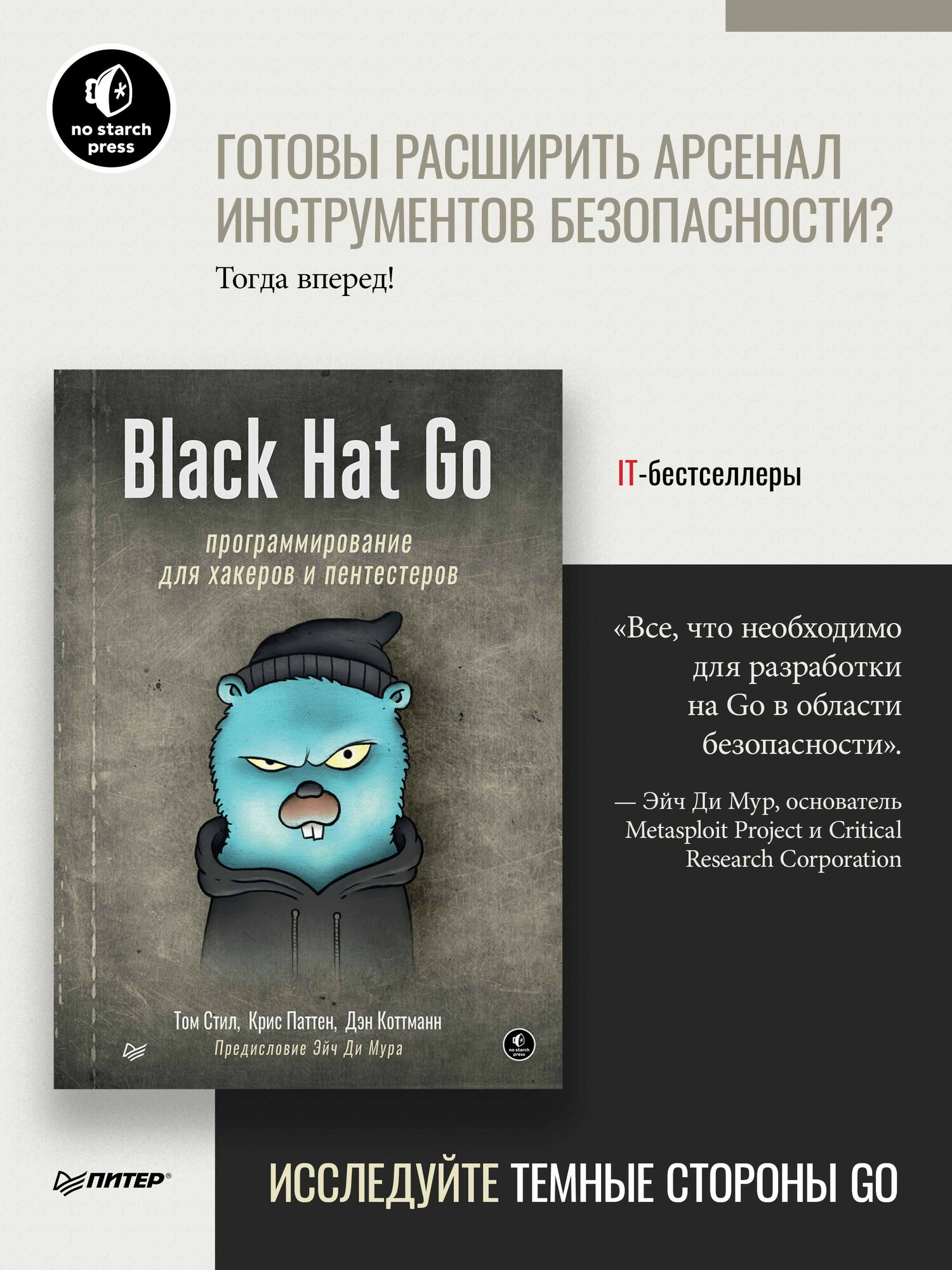 Black Hat Go: Программирование для хакеров и пентестеров / книга по кибербезопасности / информационная безопасность — фото 1