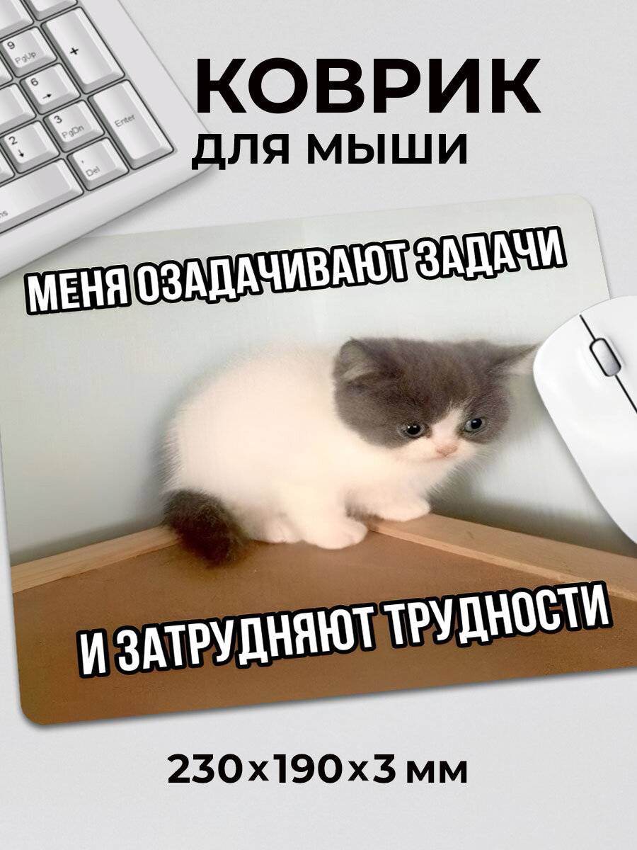 Коврик для мышки с приколом мем Милый кот задачи и трудности