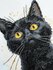 Набор для вышивания крестиком Кот __СТ