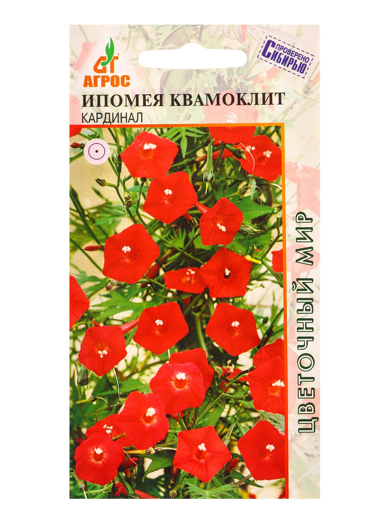 Семена цветов Ипомея квамоклит Кардинал. 8 упаковок