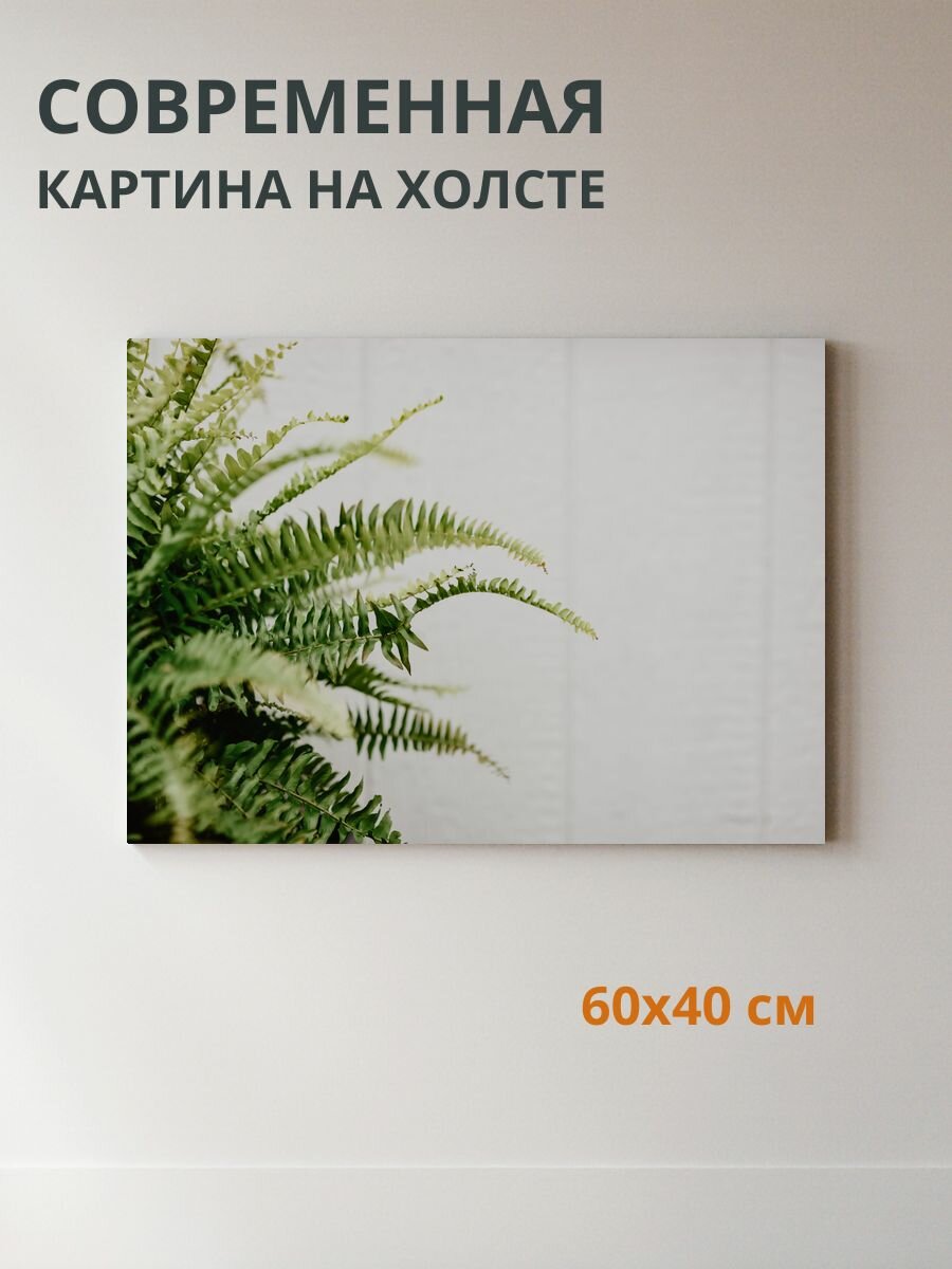 Картина на холсте Папоротник 60x40 см