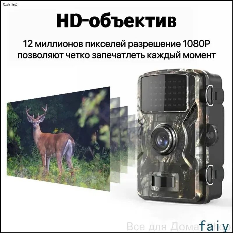 Фотоловушка — фото 1