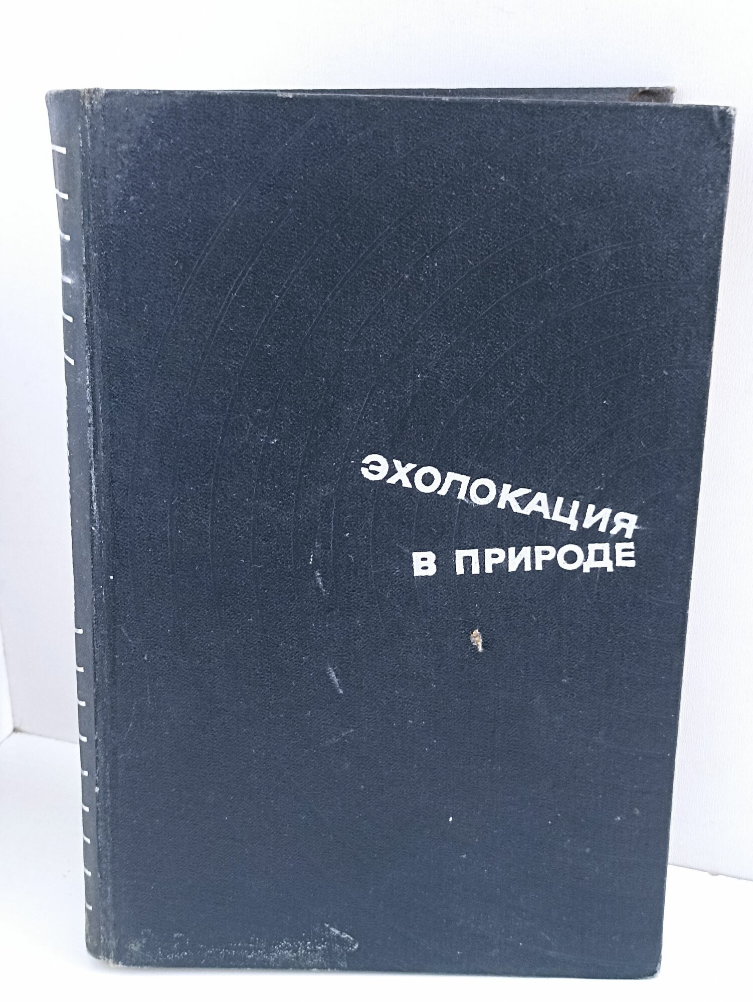 Айрапетьянц Э. Ш, Константинов А. И. Эхолокация в природе