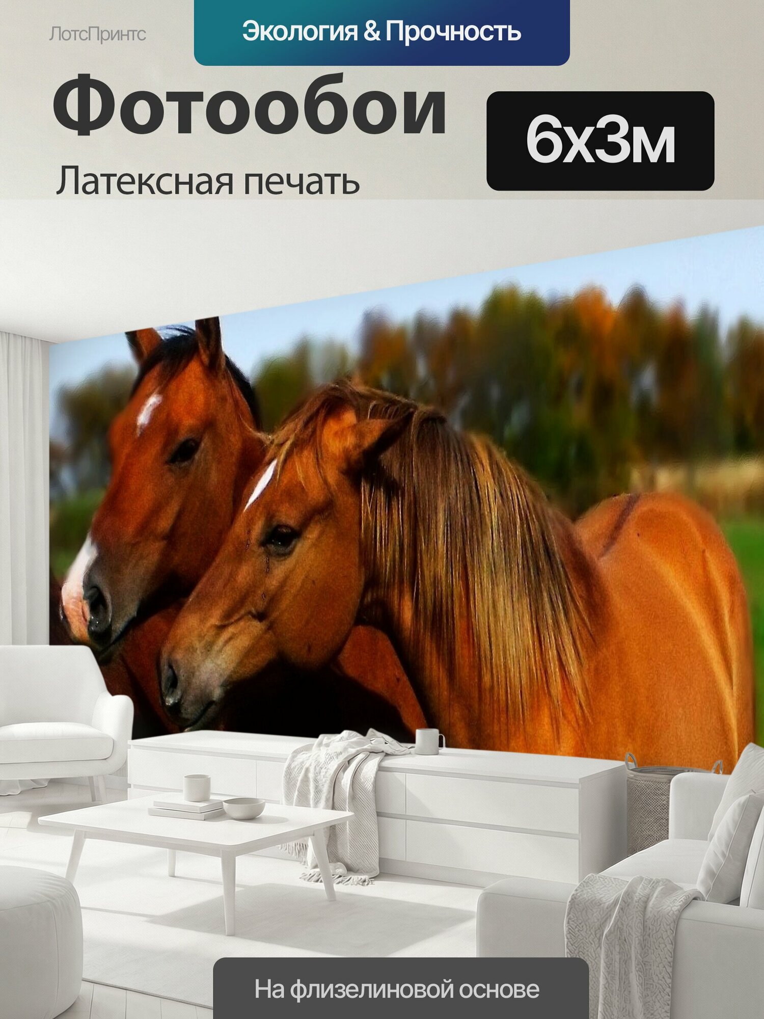 Фотообои моющиеся ударопрочные "Лошадь, поле, ферма" 600x300 см. латексная печать