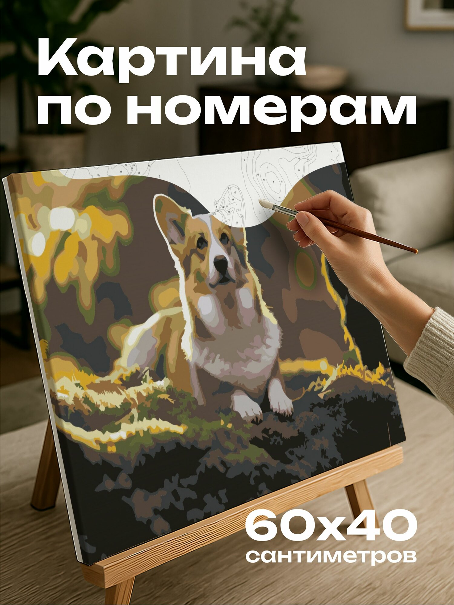 Картина по номерам 60x40 см, корги, фотография, мхом покрытая скала, волшебный лес, золотистые лучи, солнечный свет
