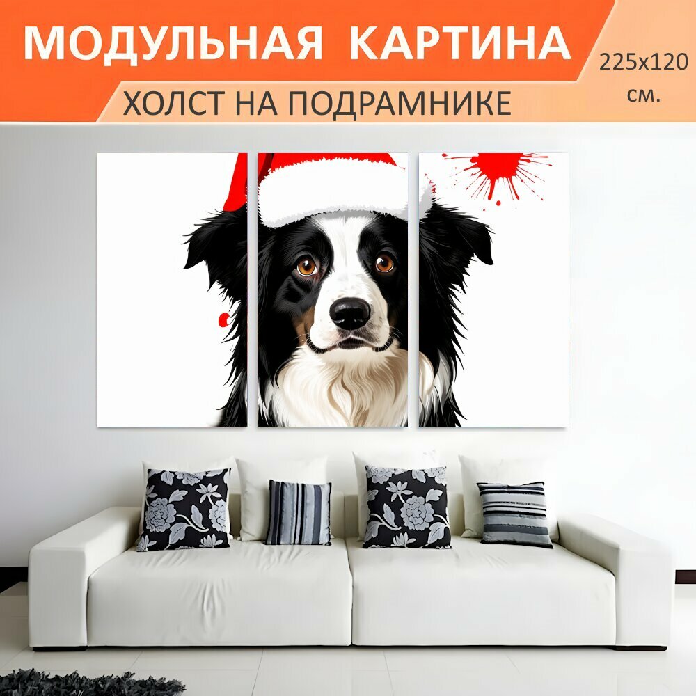 Модульная картина на холсте "Собака породы бордер-колли в красном рождественском колпаке с белым помпоном" триптих на подрамнике 225х120 см. для интерьера