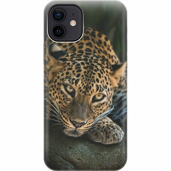 Силиконовый чехол на Apple iPhone 12 / 12 Pro / Эпл Айфон 12 / 12 Про с рисунком "Загадочный леопард"