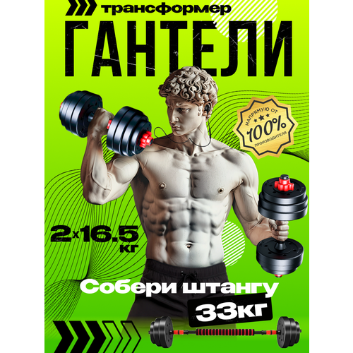 Набор гантелей разборных + гриф 16.5 кг 2шт, 33кг, возможность трансформации в штангу