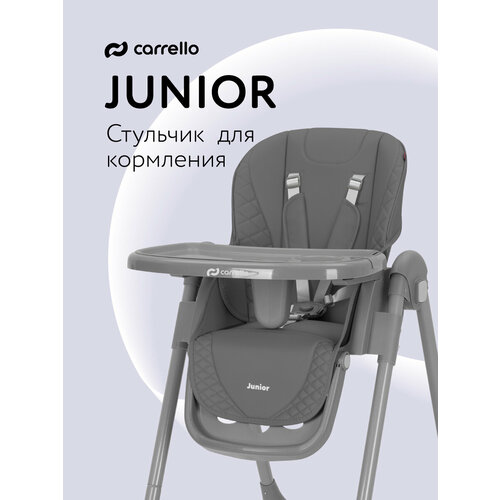 фото Стульчик для кормления baby tilly junior, складной, блокировка колес, темно-серый carrello