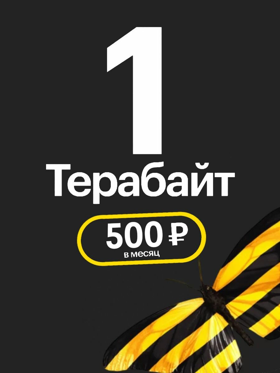 Билайн 1 ТБ за 500