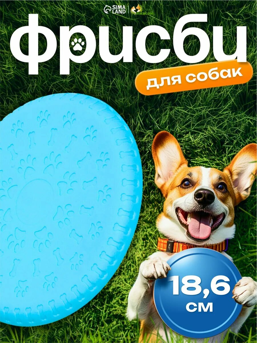 Фрисби "Косточки и лапки" 186 см термопластичная резина голубой