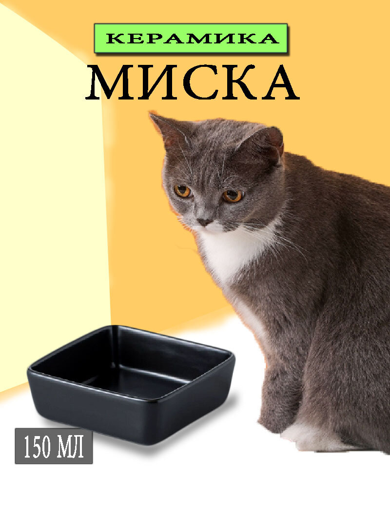 Керамическая миска для кошек, маленькая квадратная, черная, 150 мл