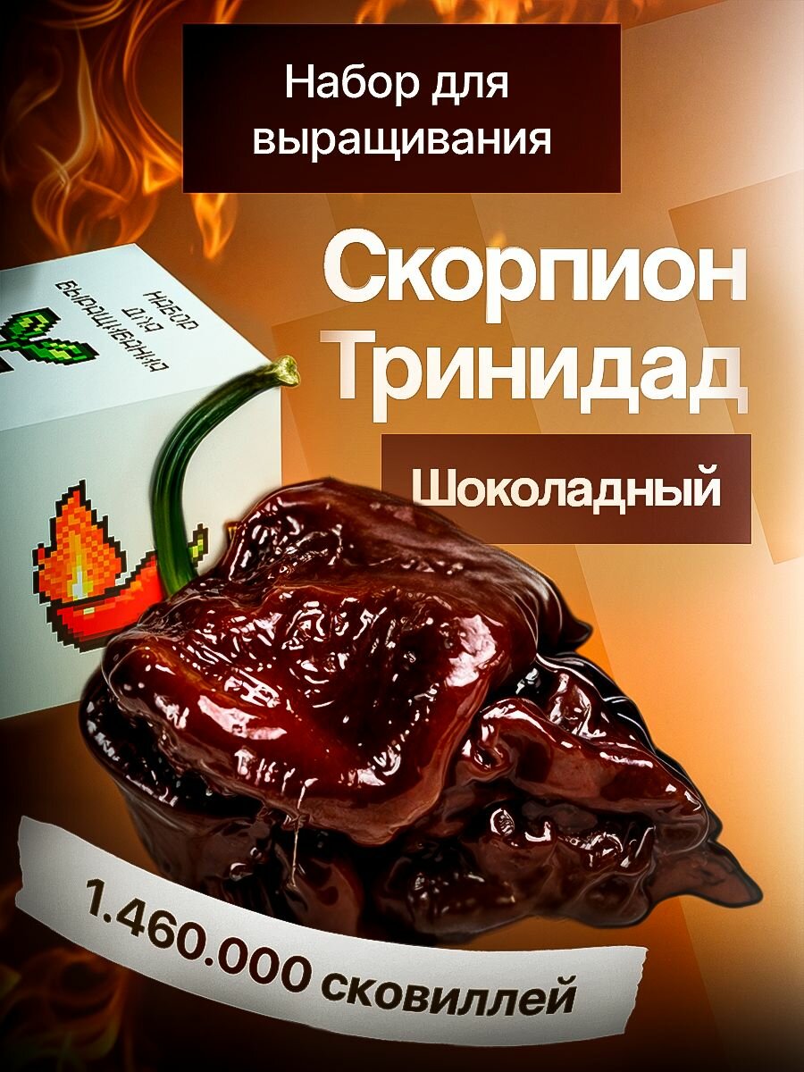 Набор для выращивания растений перец острый Тринидад Скорпион Шоколадный