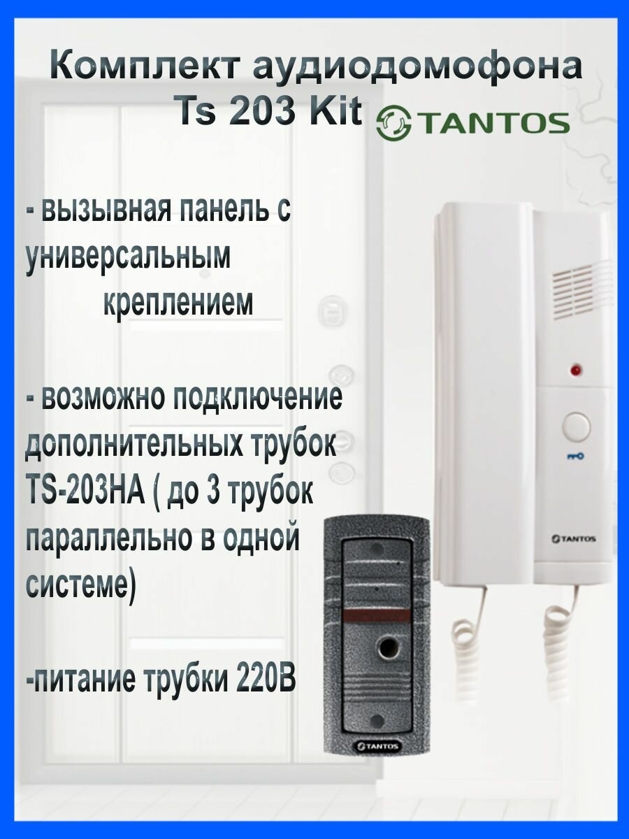 Комплект аудиодомофона TS-203Kit