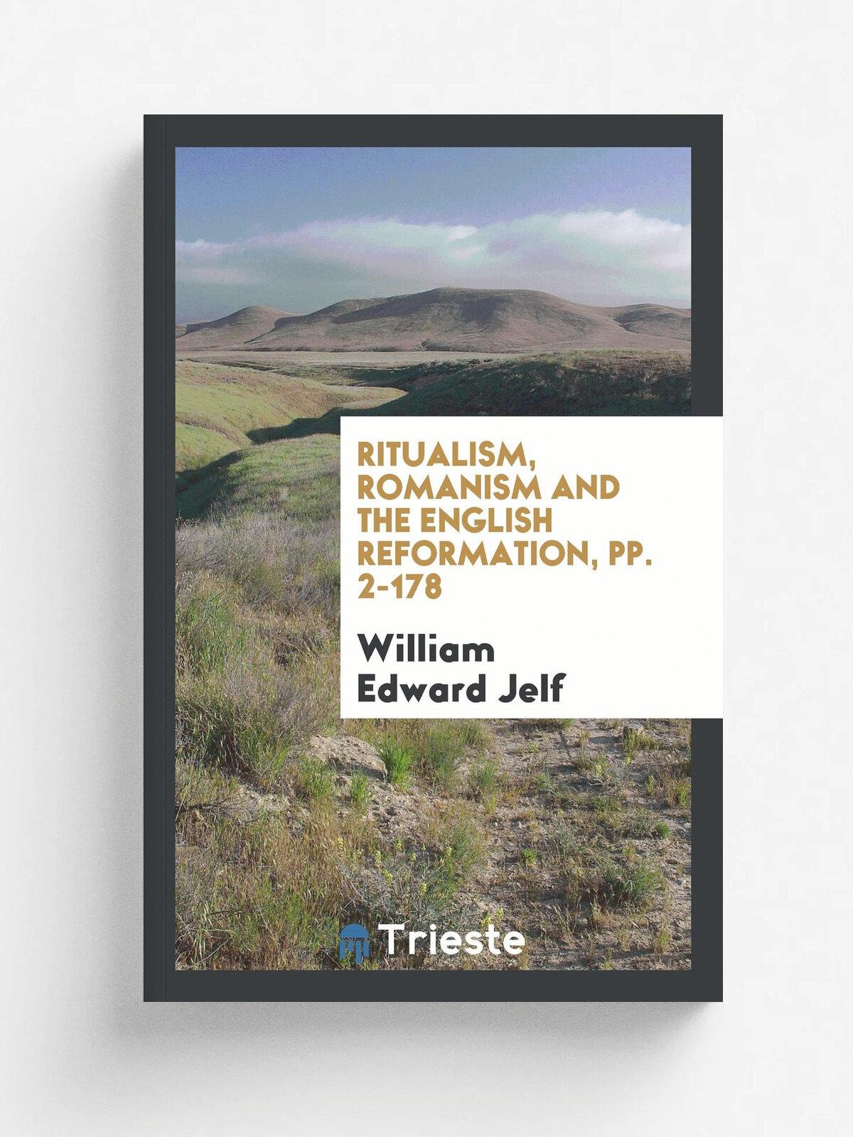 Ritualism, Romanism and the English Reformation, pp. 2-178
