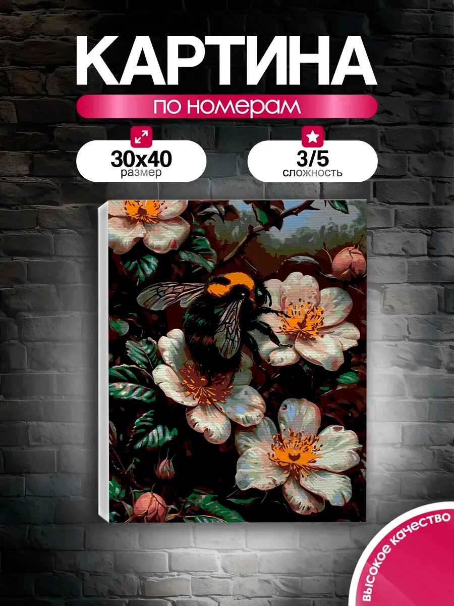 Картина по номерам 30x40 Шмель на цветке