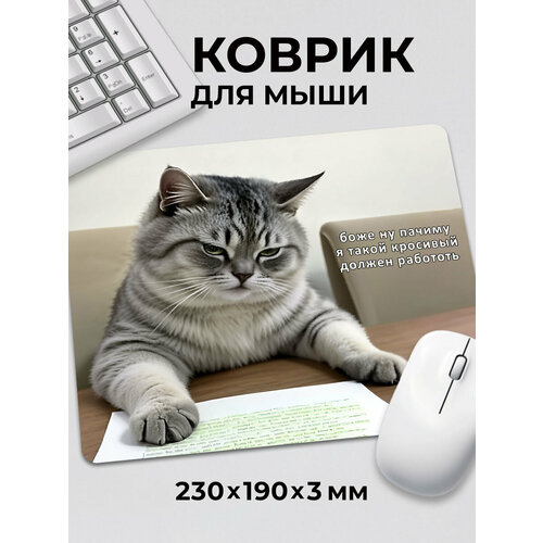 фото Коврик для мышки мем кот почему я такой красивый с ушками сидит, на нескользящем резиновом основании 230x190x3 мм